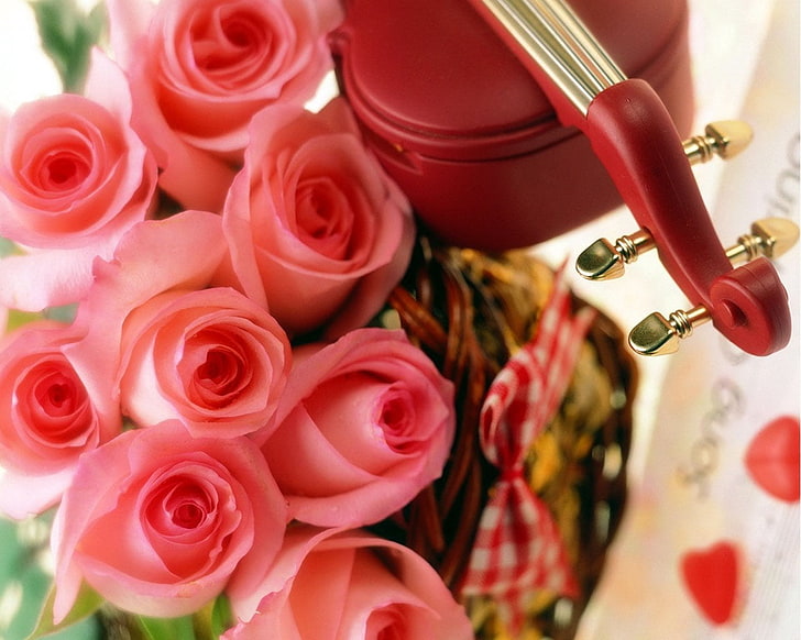 różowe róże, róże, kwiaty, bukiet, skrzypce, łuk, prezent, Tapety HD