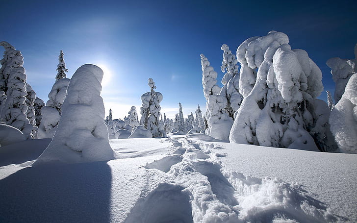 Winter in Finland, winter, finland, nature and landscape, HD wallpaper