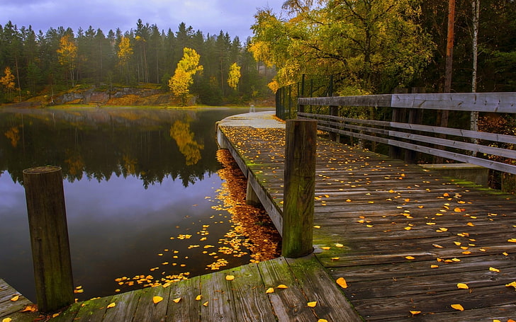 brown wooden lake dock, brown and gray wooden pier beside body of water surrounded by yellow leaf tree, nature, landscape, fall, leaves, lake, forest, walkway, fence, trees, water, HD wallpaper
