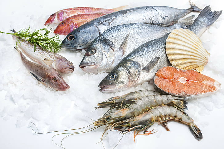 peixe, comida, oceano, mar, frutos do mar, HD papel de parede