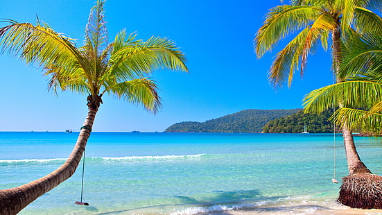 sea and two coconut trees, beach, tropical, sea, palm trees, HD wallpaper HD wallpaper