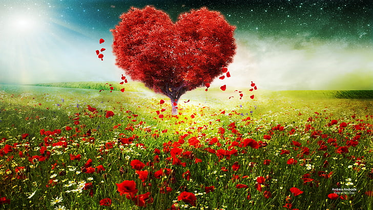 red-and-white petaled flower field, Love heart, Tree, Sunlight, Poppy flowers, Spring, Valentine's Day, HD, HD wallpaper