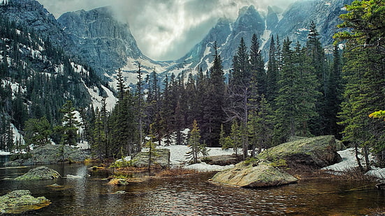 zbiornik wodny i drzewa, przyroda, krajobraz, góry, las, jezioro, skała, sosny, Tapety HD HD wallpaper