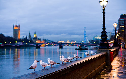 England-Straßen-Fluss-Stadt, Big Ben, London, Stadtbilder, Stadtbild, Stadt, HD-Hintergrundbild HD wallpaper