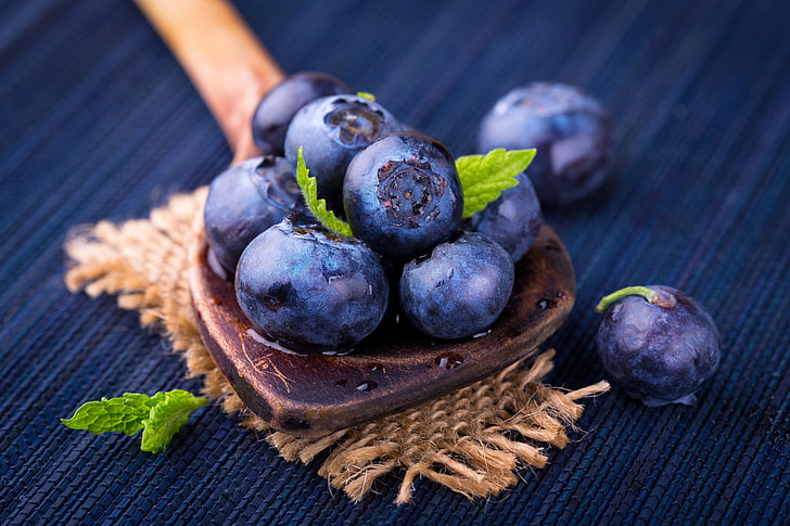 blueberry in bowl, fruit, plants, HD wallpaper
