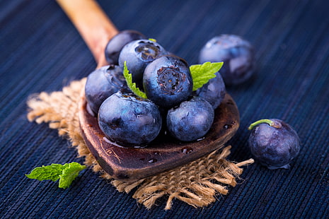 blueberry dalam mangkuk, buah, tanaman, Wallpaper HD HD wallpaper