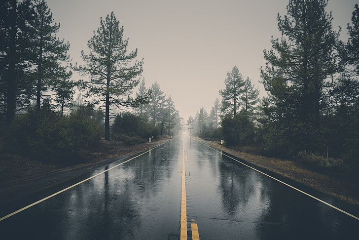 black asphalt road, nature, road, trees, reflection, wet, rain, landscape, HD wallpaper