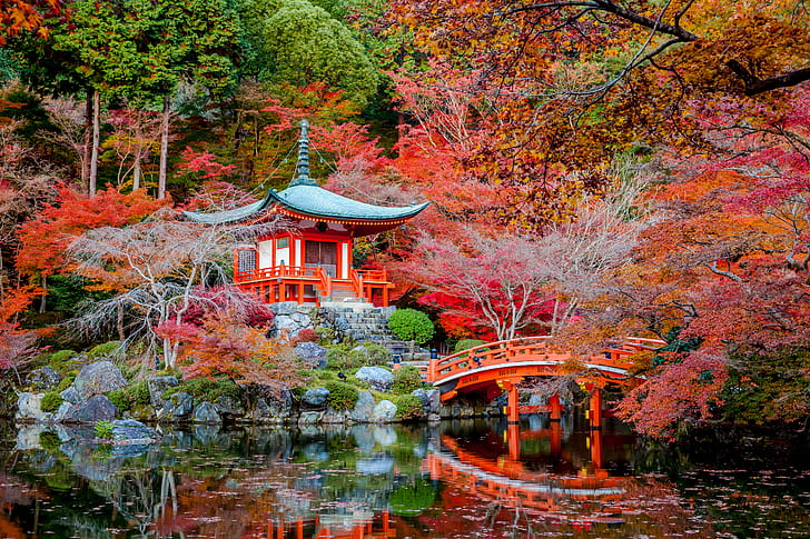 วัด, Daigo-ji, สะพาน, ฤดูใบไม้ร่วง, สวนญี่ปุ่น, ภาพสะท้อน, ศาลเจ้า, วัด, ต้นไม้, วอลล์เปเปอร์ HD