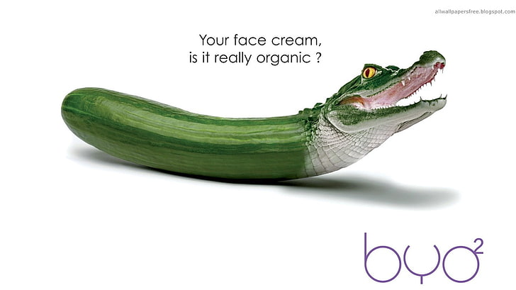 zdjęcie edytowanego krokodyla i cukinii, grafika, warzywa, Tapety HD