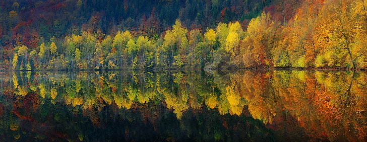 зеленые и желтые сосны, панорамы, озеро, отражение, природа, осень, вода, лес, пейзаж, деревья, спокойствие, горы, красочные, HD обои