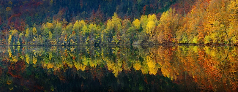 зеленые и желтые сосны, панорамы, озеро, отражение, природа, осень, вода, лес, пейзаж, деревья, спокойствие, горы, красочные, HD обои HD wallpaper