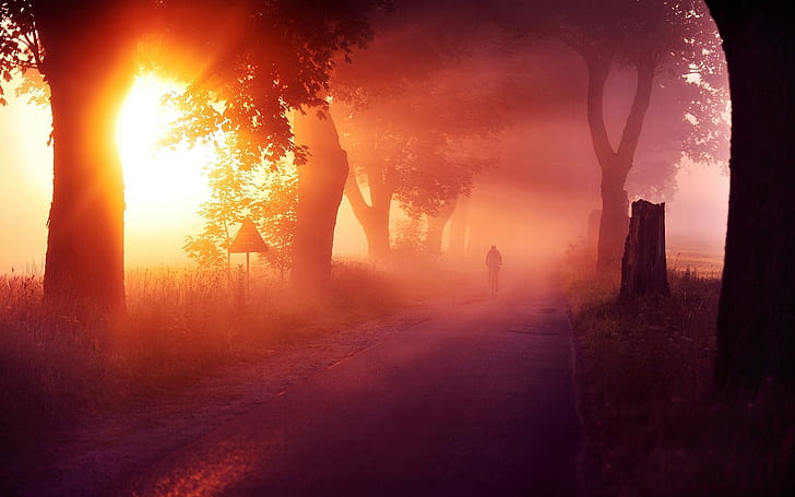 nature, sunset, mist, landscape, trees, sun rays, grass, road, cycling, atmosphere, HD wallpaper