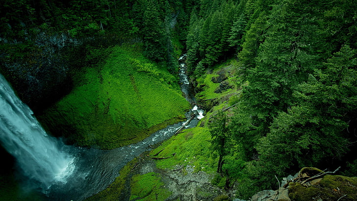 водопад, поток, водоем, водоток, зелен, вода, снимка, гори, дървета, поток, скали, река, на открито, природа, планина, мъх, пейзаж, HD тапет