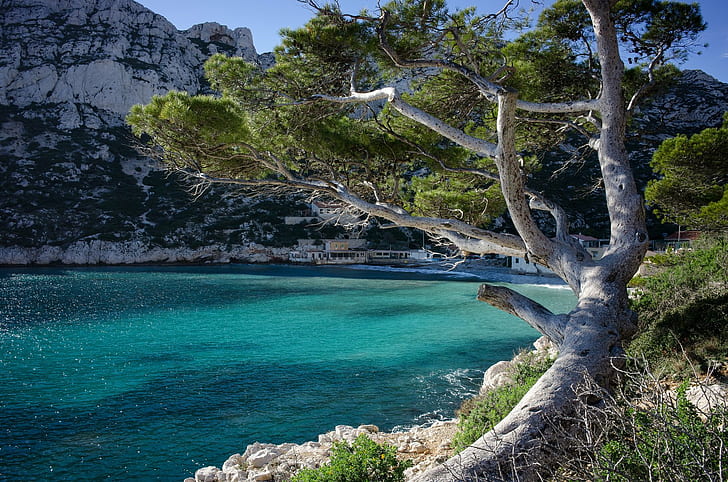 Calanques, Francia, Marsella, naturaleza, panorama, panorámica, provenza, rivages, mar, Fondo de pantalla HD