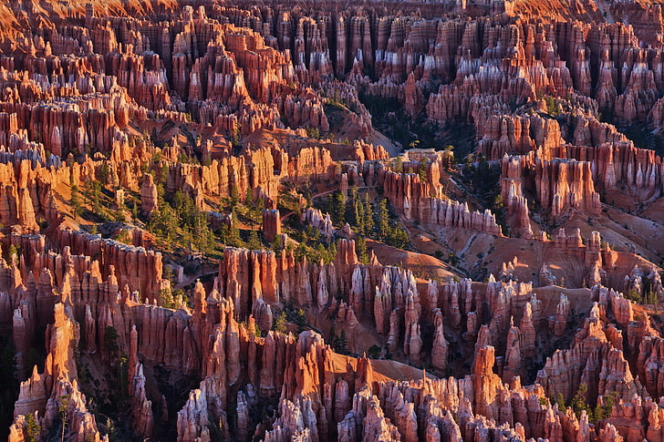 trees, mountains, rocks, Utah, USA, Bryce Canyon National Park, HD wallpaper