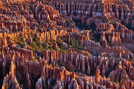 木、山、岩、ユタ州、アメリカ、ブライスキャニオン国立公園、 HDデスクトップの壁紙 HD wallpaper