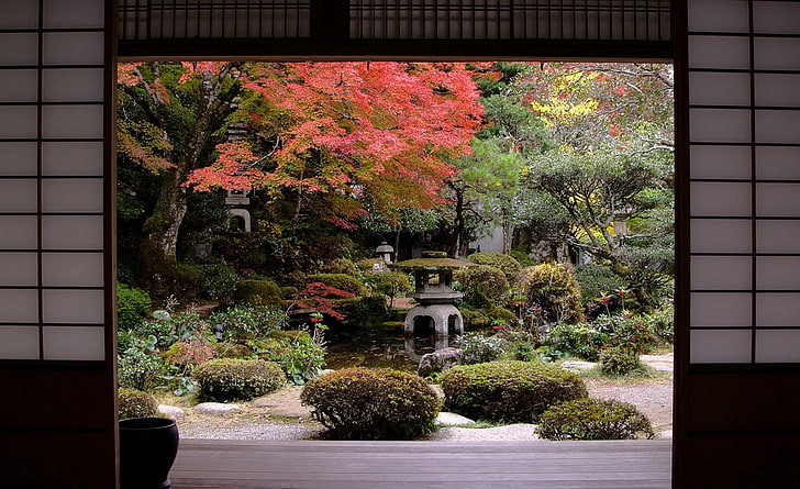 الحديقة اليابانية التقليدية ، النباتات الورقية الخضراء ، آسيا ، اليابان ، السفر ، الخريف ، الحديقة ، الخريف ، التقليدية، خلفية HD