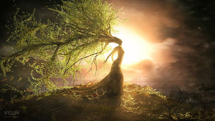 Beautiful tree wizard, the sun bright, creative design, Beautiful, Tree, Wizard, Sun, Bright, Creative, Design, HD wallpaper