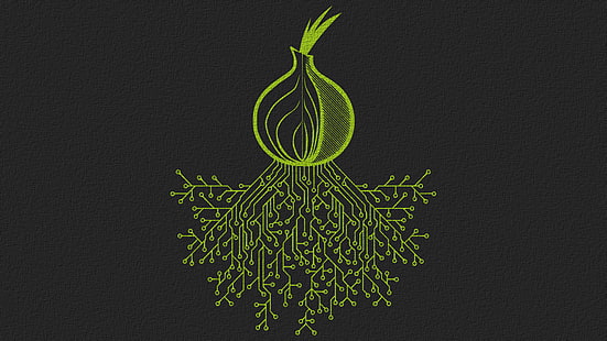лого на зелен лук, тор, лук, интернет, дигитално изкуство, HD тапет HD wallpaper