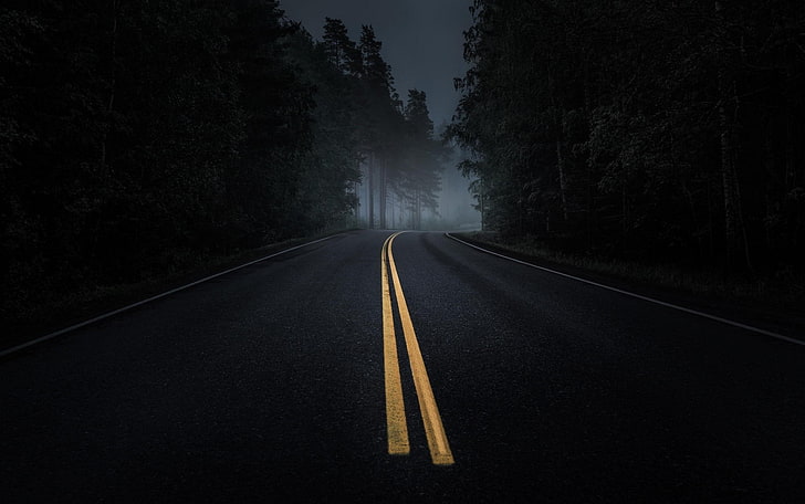 road, mist, dark, trees, asphalt, yellow, night, pine trees, forest, HD wallpaper