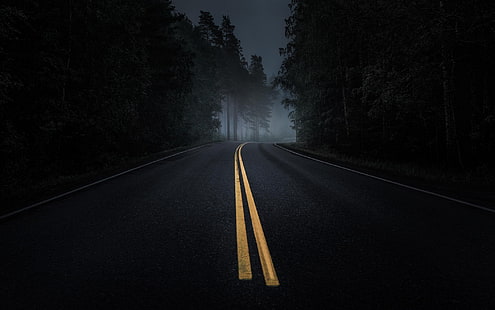 дорога, туман, темно, деревья, асфальт, желтый, ночь, сосны, лес, HD обои HD wallpaper