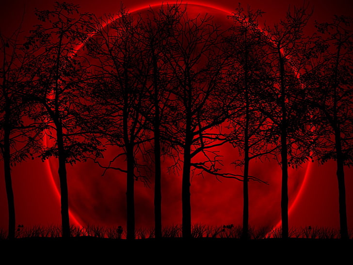 seni digital bulan darah merah, pohon, langit, gerhana, malam, darah, Wallpaper HD