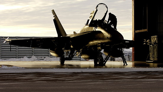 chasseur à réaction noir, militaire, avion, avion militaire, chasseur à réaction, McDonnell Douglas CF-18 Hornet, Canada, Aviation royale canadienne, Fond d'écran HD HD wallpaper