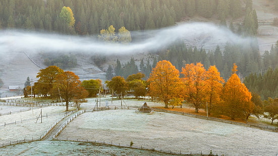 Карпаты, Ивано-Франковская область, Украина, осень, HD обои HD wallpaper