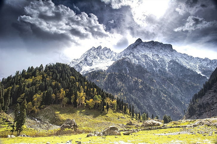 fall, mountains, forest, clouds, snowy peak, trees, Kashmir, grass, nature, landscape, HD wallpaper