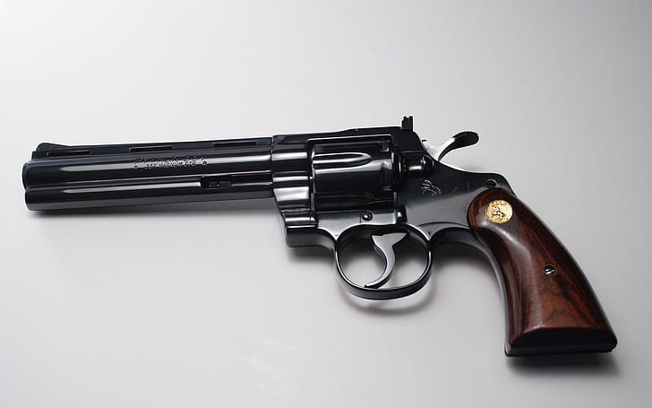 Rewolwer, pistolet czarno-brązowy rewolwer, fotografia, 1920x1200, Python, rewolwer, magnum, Tapety HD