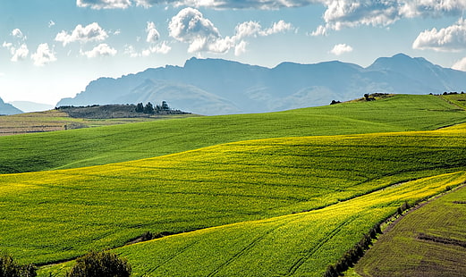 ферма, полета, зелено, рапица, земеделие, търкаляне, хълмове, HD тапет HD wallpaper