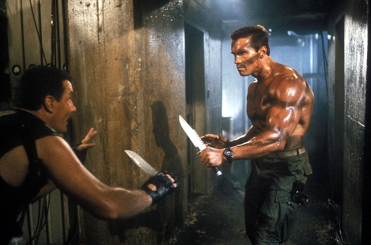Arnold Schwarzenegger, Commando, Arnold Schwarzenegger, John Matrix, HD wallpaper