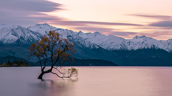 水、ニュージーランド、ワナカ湖、山の湖、地平線、孤独な木、ピンクの空、冬、夜明け、自然、穏やか、山脈、朝、山、湖、孤独な木、空、 HDデスクトップの壁紙 HD wallpaper