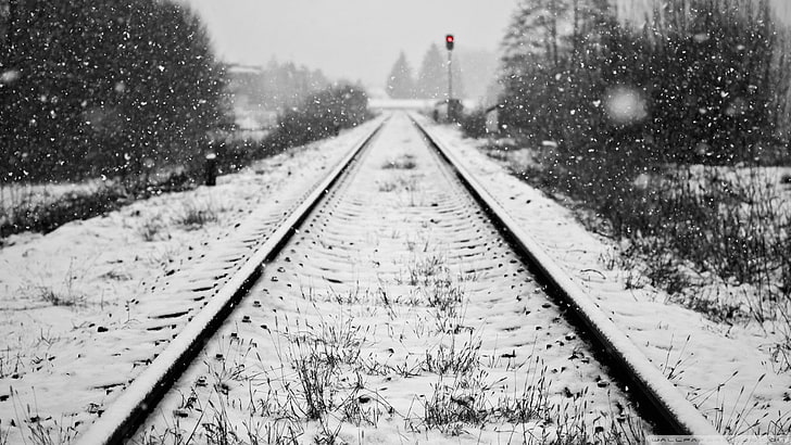 черно и бяло природа зима сняг железопътни писти пътуване железопътни линии храсти 1920x1080 Природа Зима HD Изкуство, природа, черно и бяло, HD тапет
