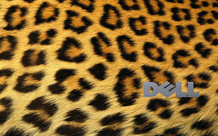 Dell, cheetah, pola, logo, Wallpaper HD