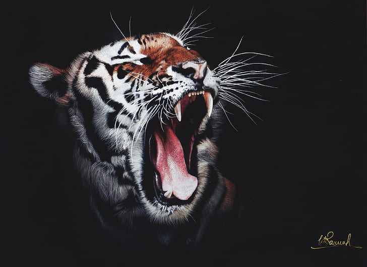 tiger, roar, artwork, hd, 4k, digital art, superheroes, art, animals, HD wallpaper