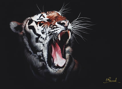 тигр, рев, произведение искусства, HD, 4K, цифровое искусство, супергерои, искусство, животные, HD обои HD wallpaper