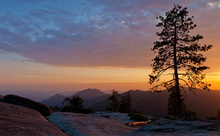 Beetle Rock, Sequoia National Park, Kalifornia, zielone drzewo liściaste, Stany Zjednoczone, Kalifornia, Zachód słońca, Skała, Chrząszcz, Chmura, Narodowy, Pochmurny, Sosna, Park, Zmierzch, Chmury, sekwoja, Haze, stany zjednoczone, park narodowy, gigantyczne lasy, tulare, Tapety HD