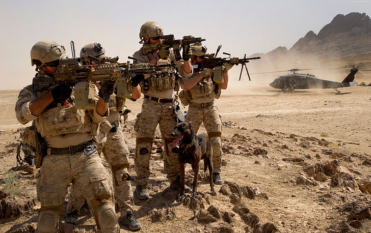 campo, RSTA, Mk 14, ejército, camuflaje, rifle M16, soldado, ejército de EE. UU., municiones, halcón negro, perro, Fondo de pantalla HD