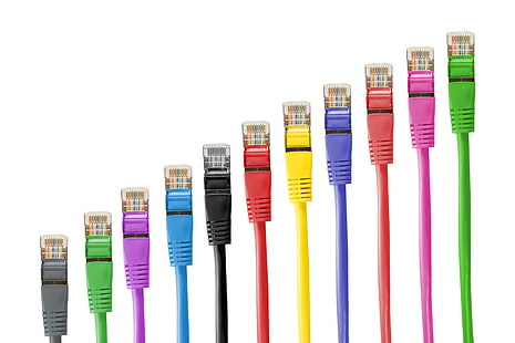 cable, colorful, colourful, connection, ethernet, internet, lan, lan cable, network, network cables, network connector, patch cable, rj 45, rj45, royalty  images, HD wallpaper HD wallpaper