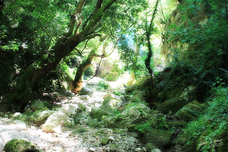 Greenday เศษหินเซรามิกสีเทาธรรมชาติต้นไม้ซีเรียสีเขียว 3 มิติและนามธรรม, วอลล์เปเปอร์ HD
