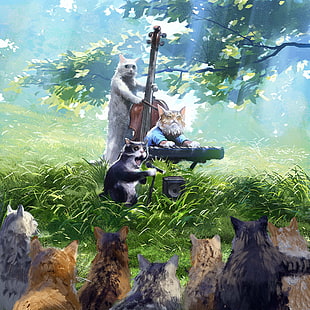 кошки, мемы, природа, деревья, трава, юмор, HD обои HD wallpaper