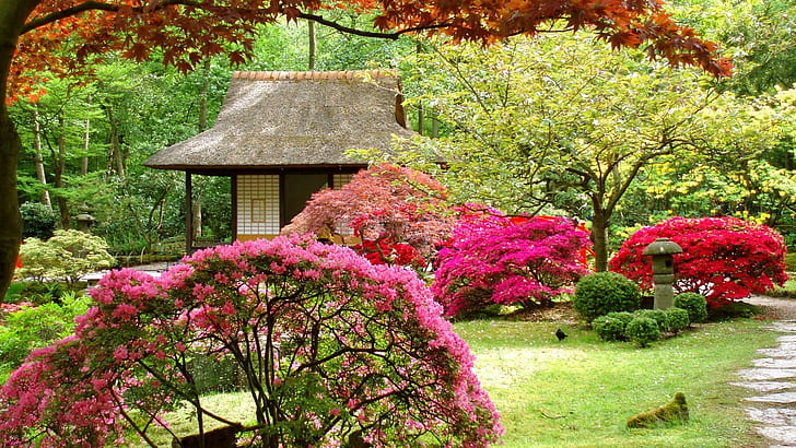 Jardim japonês de primavera, primavera, natureza, jardins, flores, natureza e paisagens, HD papel de parede