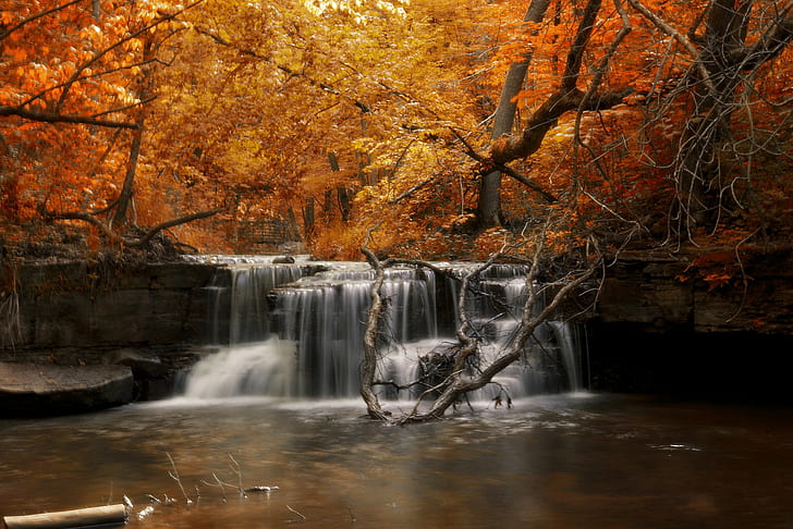 Otoño cascada y río, otoño, bosque, río, cascada, Fondo de pantalla HD