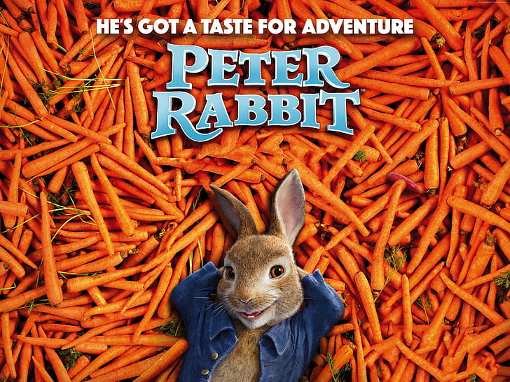 4к, Питер Кролик, морковь, HD обои