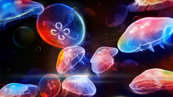 papel tapiz de medusas de varios colores, medusas, mar, bajo el agua, Fondo de pantalla HD