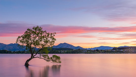 paisagem, árvores, lago, lago Wanaka, HD papel de parede HD wallpaper
