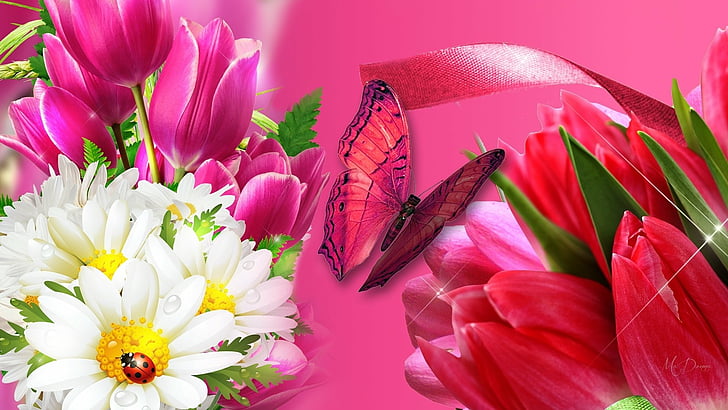 Flowers, Flower, Artistic, Butterfly, Daisy, Tulip, HD wallpaper