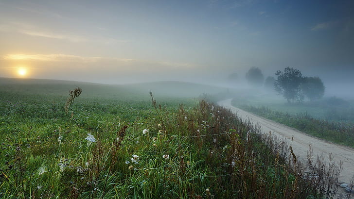mgła, natura, Tapety HD