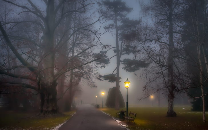 Park, foggy, path, lamp posts, benches, trees, night, Park, Foggy, Path, Lamp, Benches, Trees, Night, HD wallpaper